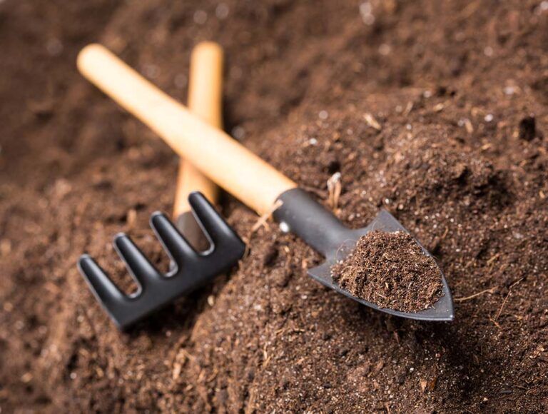 Garden Tools on Soil