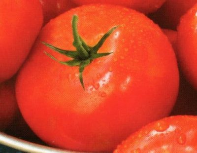Tomato Beef Casserole recipe. How to Make Tomato and Beef Casserole.