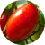 grape-tomato-flaticon