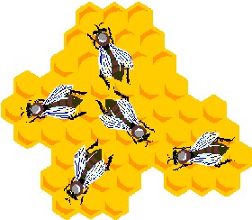 bee, hive, wax, honey, nests, 