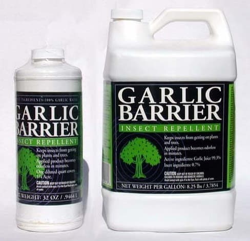 Garlic Barrier Insect Repellents