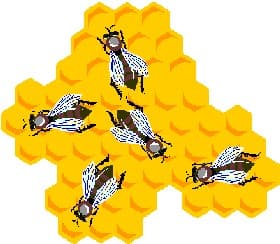 Honeybee Hive