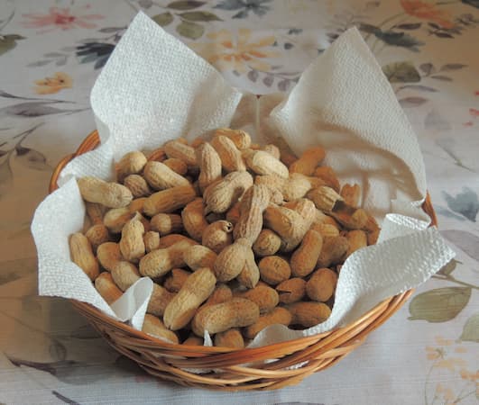 Growing Peanuts, How to Grow Peanuts