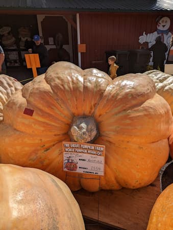 2023 Dill's Atlantic Giant Pumpkin 2554