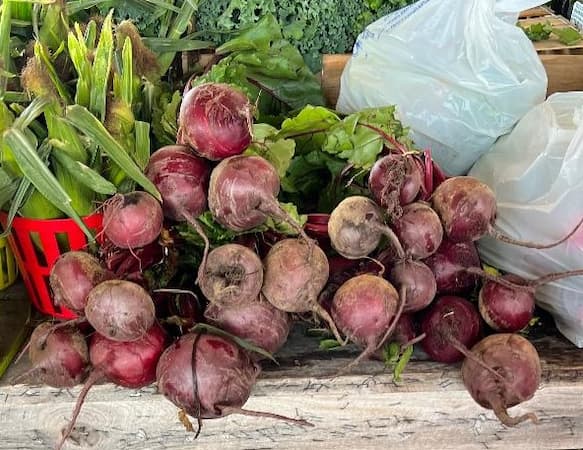How to Grow Beets Vegetable Plant