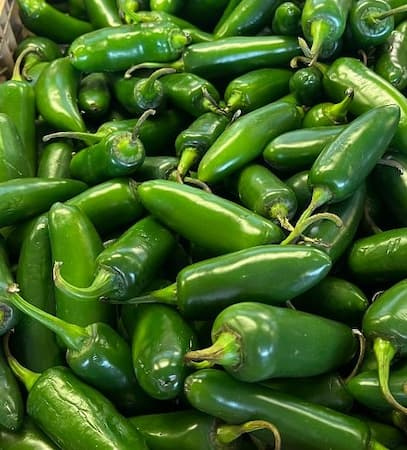 How to grow Jalapeno Pepper plants
