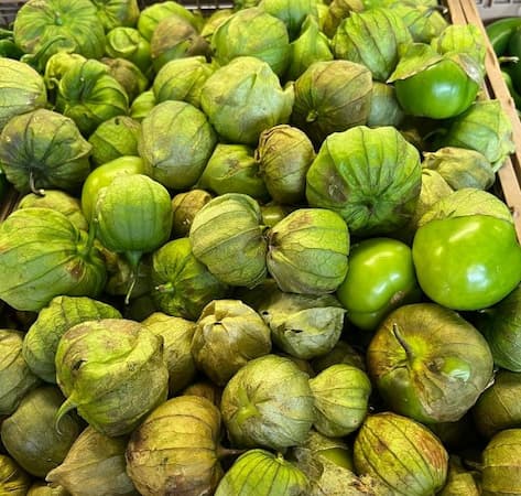 How to grow tomatillo plants