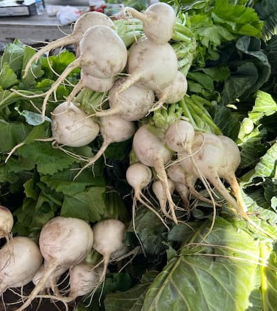 How to Grow White Radish