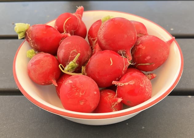 How to grow Radishes, bowl of radish