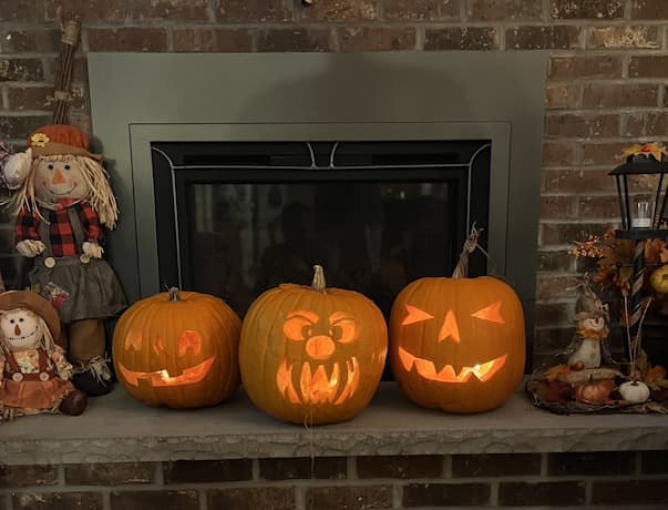 Halloween Pumpkins. How to grow, home gardening