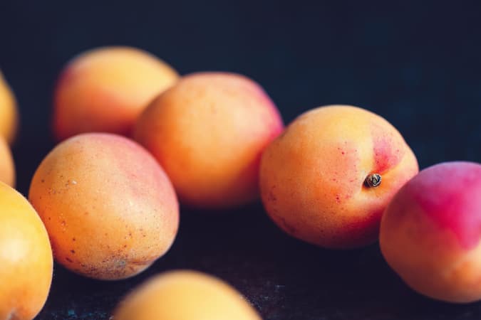 How to Grow Apricot Trees. Growing apricots