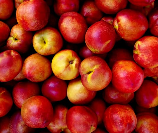 How to grow Nectarine trees. Growing fruit trees.