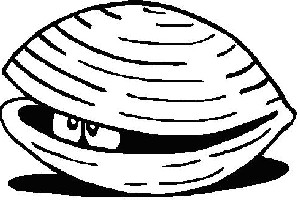 Linguine with White Clam Sauce Recipe