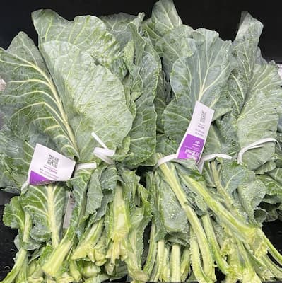 How to grow collards greens