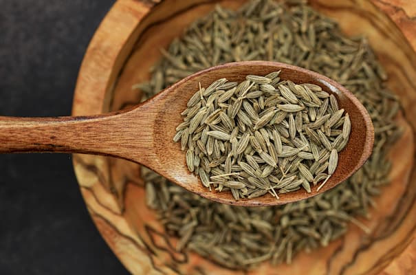 How to Grow cumin plants herb
