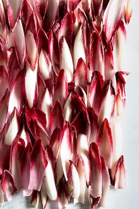 How to grow Radicchio, Italian chicory