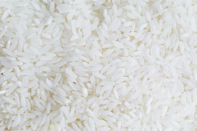 How to grow rice plants.