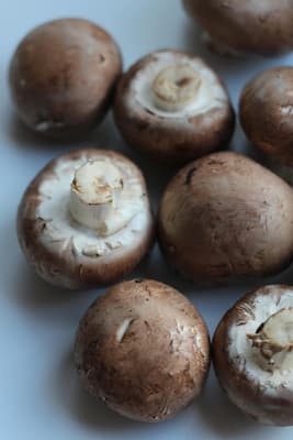 How to make Stuffed Mushroom Caps recipes, mushroom sauce