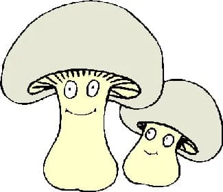 How to Make Mushroom Sauce Recipe