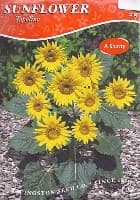 Topolino Sunflower