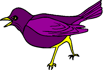 Purple Martins