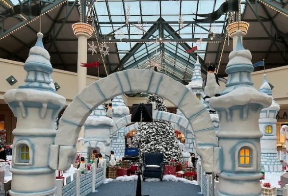 December home gardening. Winter garden. Better homes and gardens