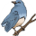 Bird Perched Flaticon