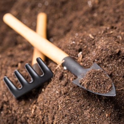 Garden Tools on Soil