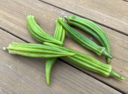 Okra and Tomatoes Recipe. Exciting Recipes by Gardener's Net.