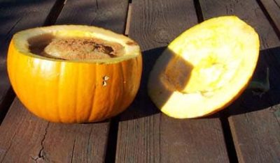 Pumpkin Bowl