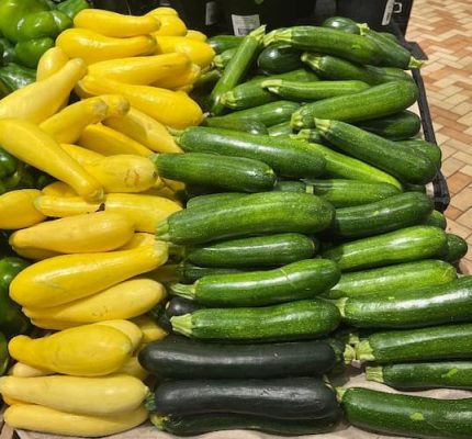 Zucchini Summer Squash Fruit. How to Grow Zucchini