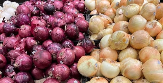 Onions Bulbs