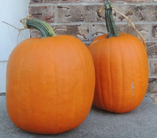 Pumpkins on Porch