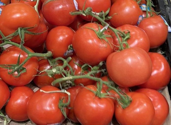 Tomatoes Bunch